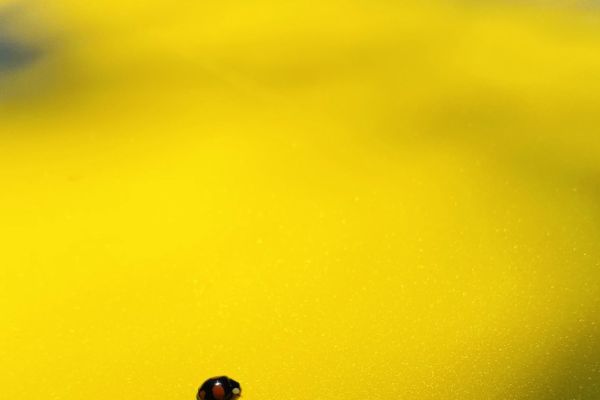 apero-54F648B84-142A-444F-AC6D-90F4E88421D5.jpg