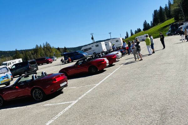 arret-brevine-2ACFB44D3-8470-CFDD-B9DA-D8EE4F0DB26D.jpg