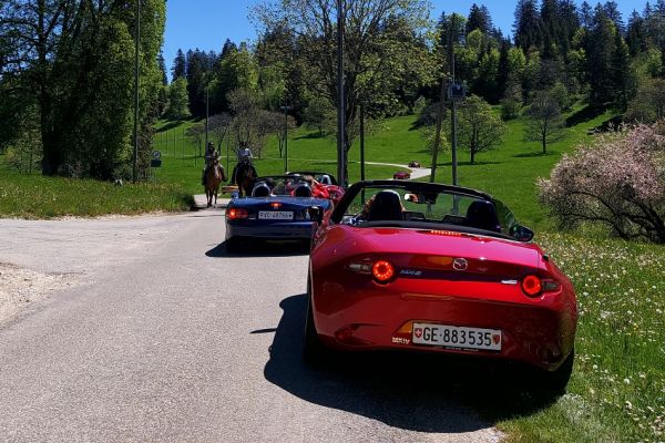 brevine-monsieur-735883265-E331-D11D-2063-59FC71F5B9F2.jpg