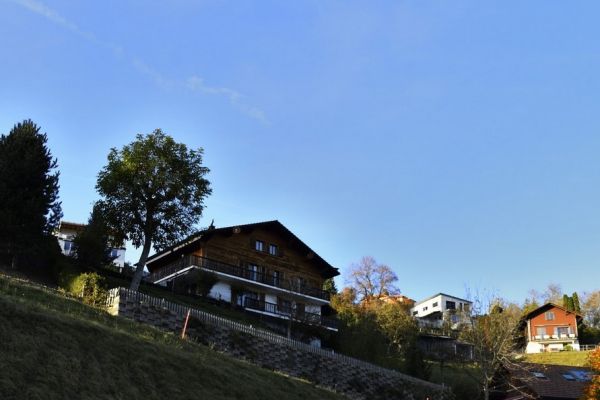 dsc4694si0C4C1122-FCB3-BA69-5548-AD2FB9D414BF.jpg