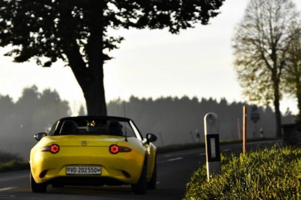 dsc4767siFB550F52-BA4E-C881-DA1A-3AF3D8FE16E9.jpg