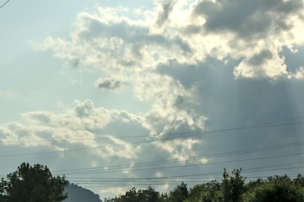 20250610-0068615484A1-3F63-B0C6-CEB8-033A894FA1A4.jpg