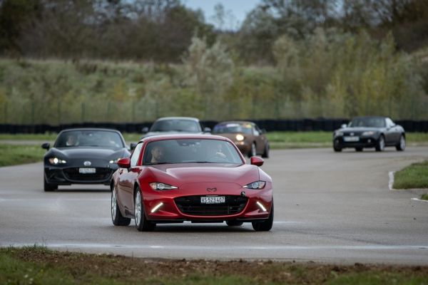 img-909312D236E8-8F7D-5ADF-9E4B-58AFD15CF497.jpg